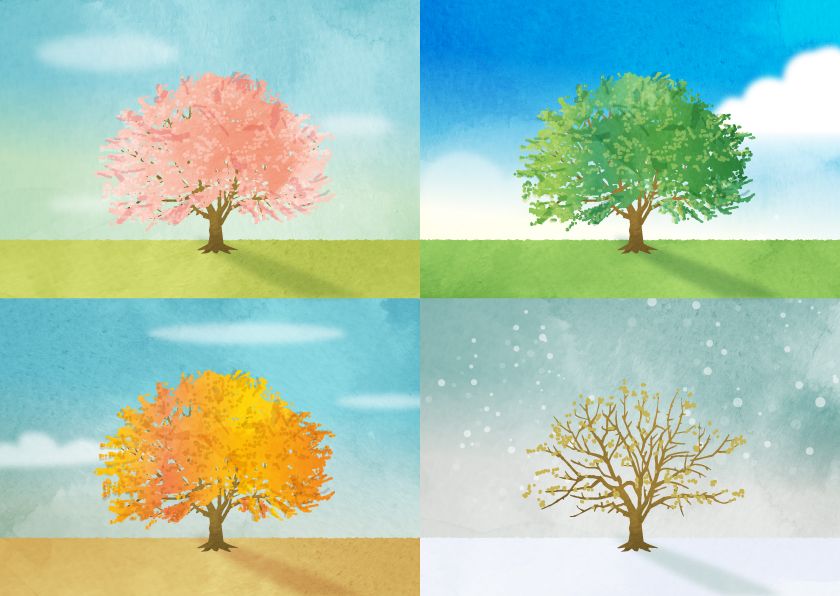 sk-four-seasons-cherry-tree | あなたの休日相談所